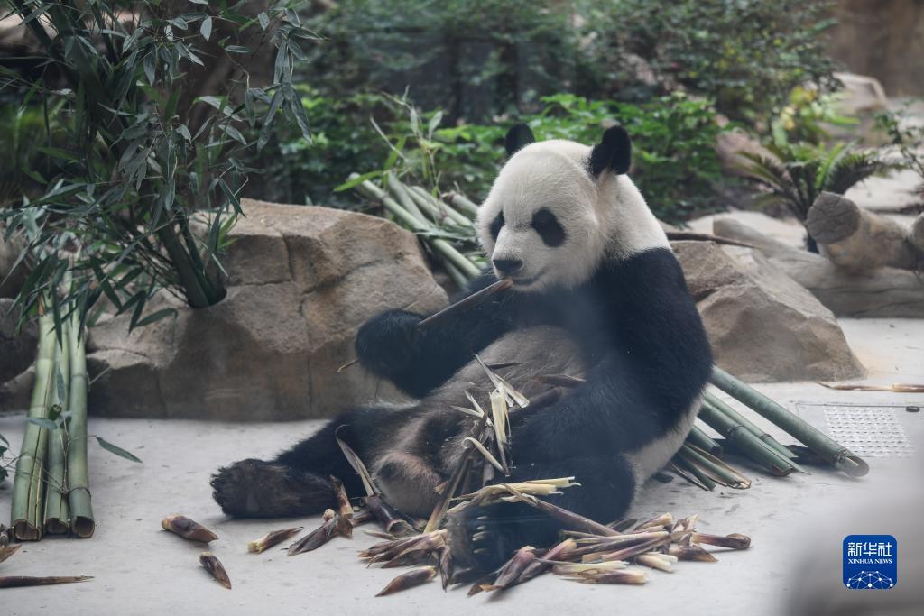 美高梅登录中心